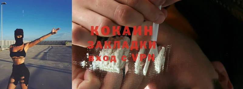 ссылка на мегу вход  Свободный  Cocaine FishScale 